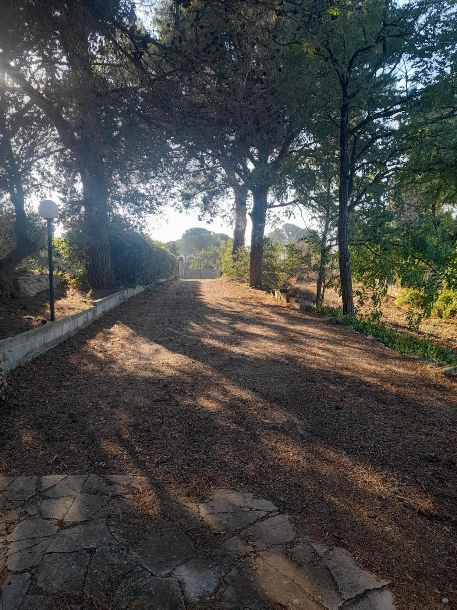 Hébergement de vacances Ugo Martina Franca